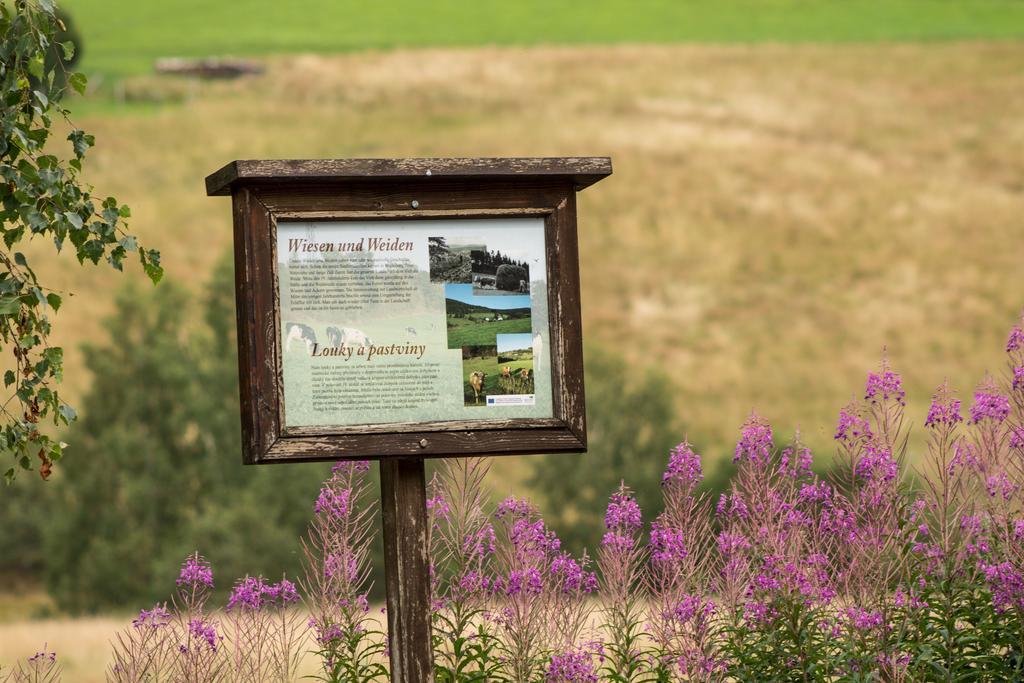 Erzgebirgsidyll Villa Breitenbrunn  Luaran gambar