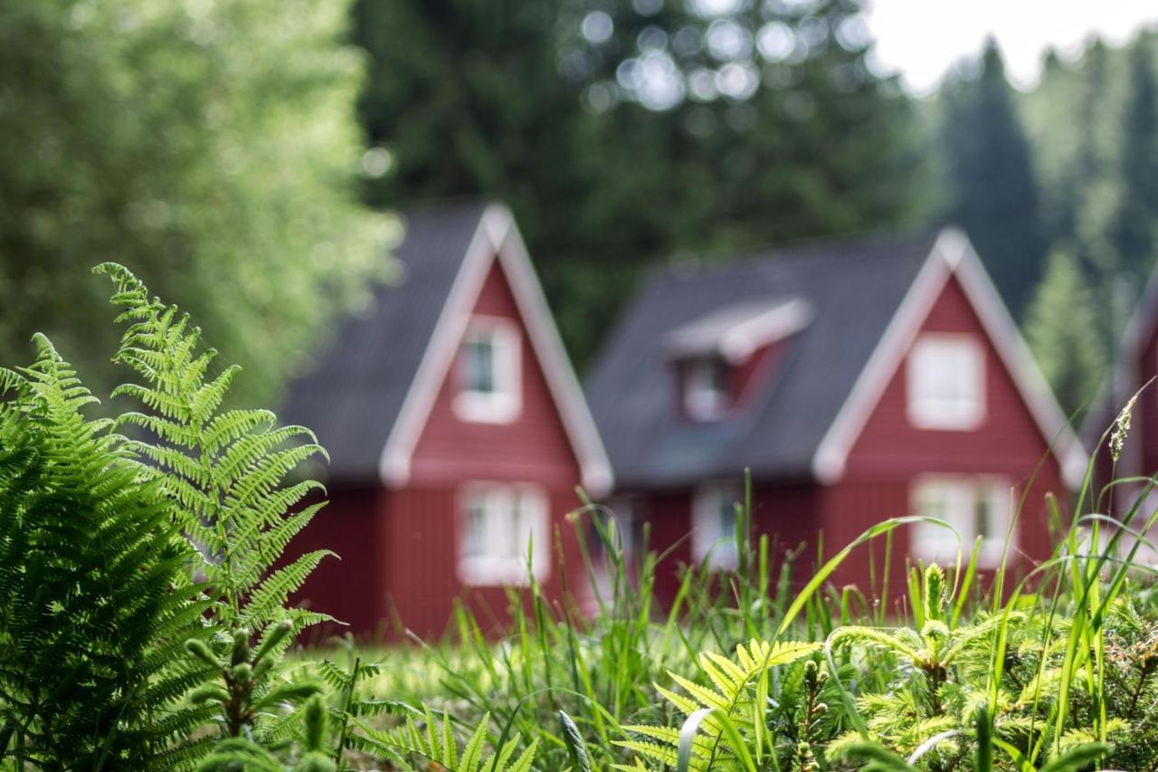 Erzgebirgsidyll Villa Breitenbrunn  Luaran gambar