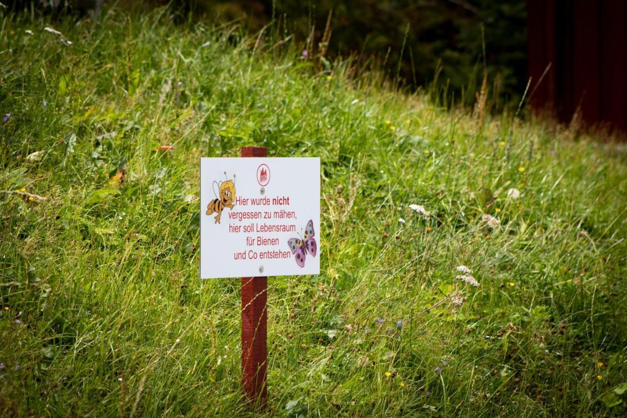 Erzgebirgsidyll Villa Breitenbrunn  Luaran gambar